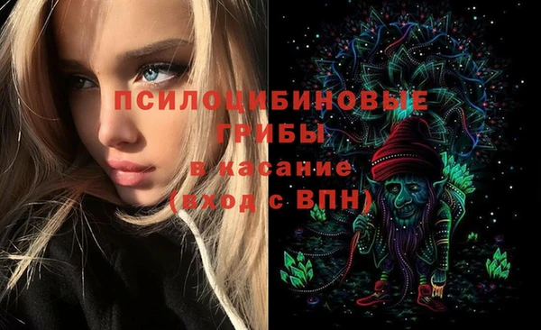PSILOCYBIN Дмитриев