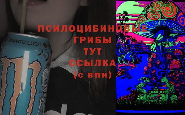 прущие крисы Гусев