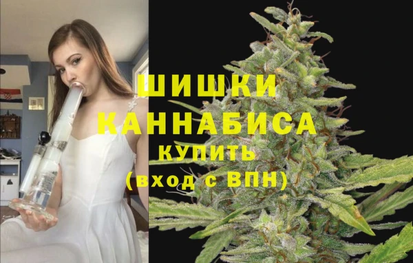 ГАЛЛЮЦИНОГЕННЫЕ ГРИБЫ Остров