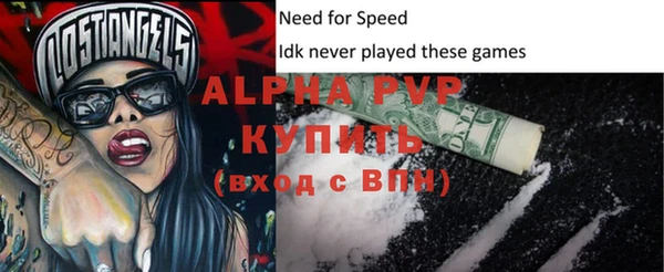 apvp Гусиноозёрск