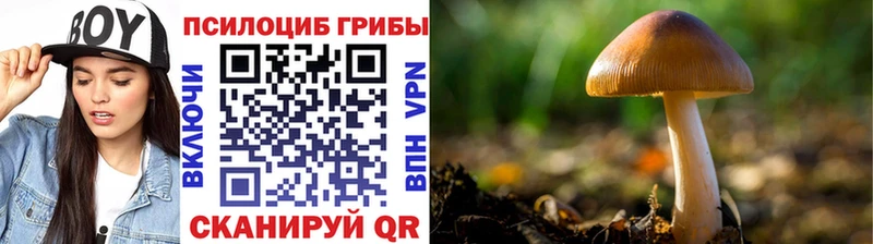 Галлюциногенные грибы прущие грибы Нолинск